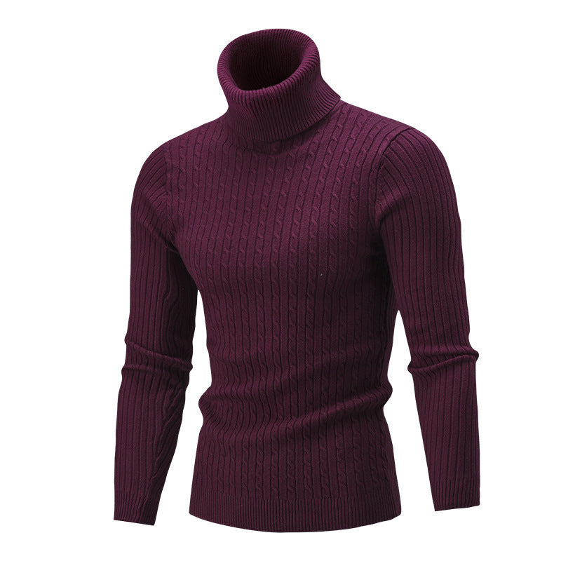 Herren Rollkragen Pullover Zopf Muster Elegante Optik