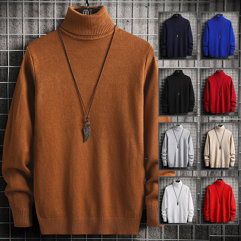 Herren Rollkragenpullover Modern Weich