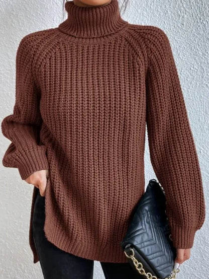 Weicher Frauen Rollkragen Pullover Modern