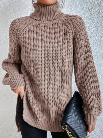 Weicher Frauen Rollkragen Pullover Modern
