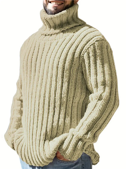 Einfarbig Rollkragen Pullover Herren Mode - IdealeKleiden