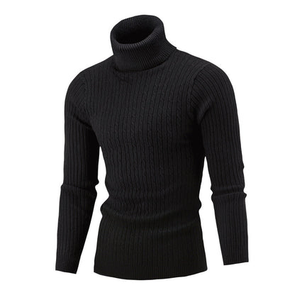 Herren Rollkragen Pullover Zopf Muster Elegante Optik