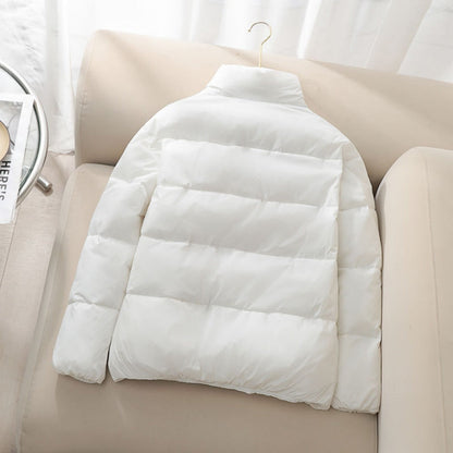 Elegante Damenkleider Mit Hochem Kragen - IdealeKleiden