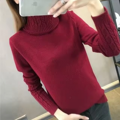 Weicher Rollkragen Pullover aus Wolle