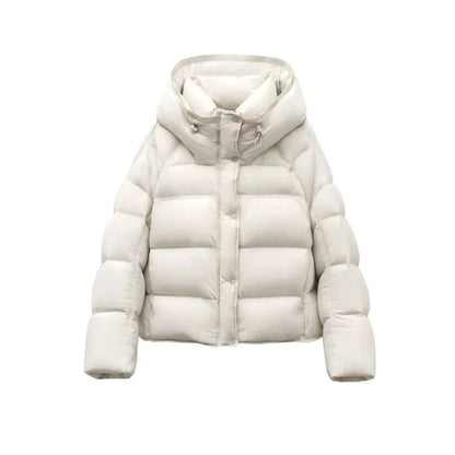 Elegantes A-Linien Kleid für Damen