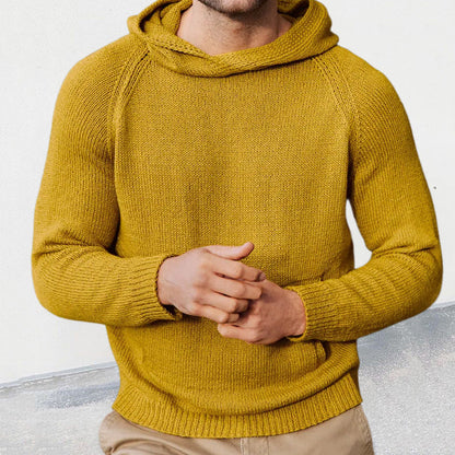 Herren Strickpullover Kapuze Feinmasche Modern
