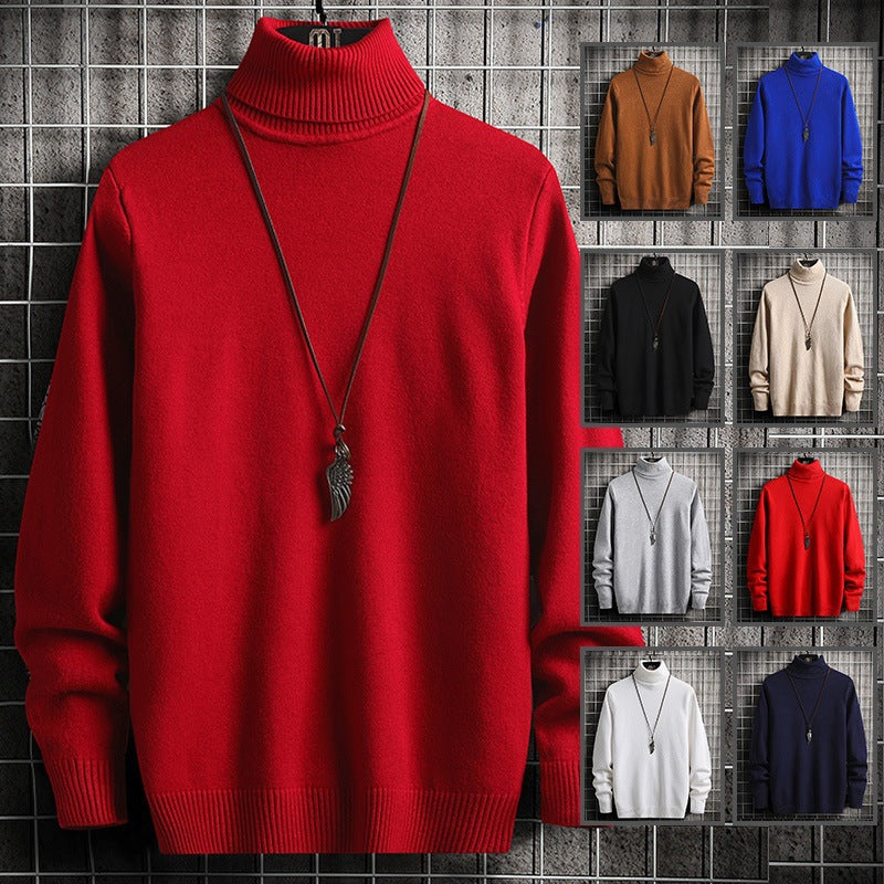 Herren Rollkragenpullover Modern Weich