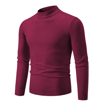 Herren Rollkragenpullover Modern Fein Strick