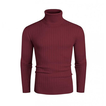 Herren Pullover Rollkragen Strick Design