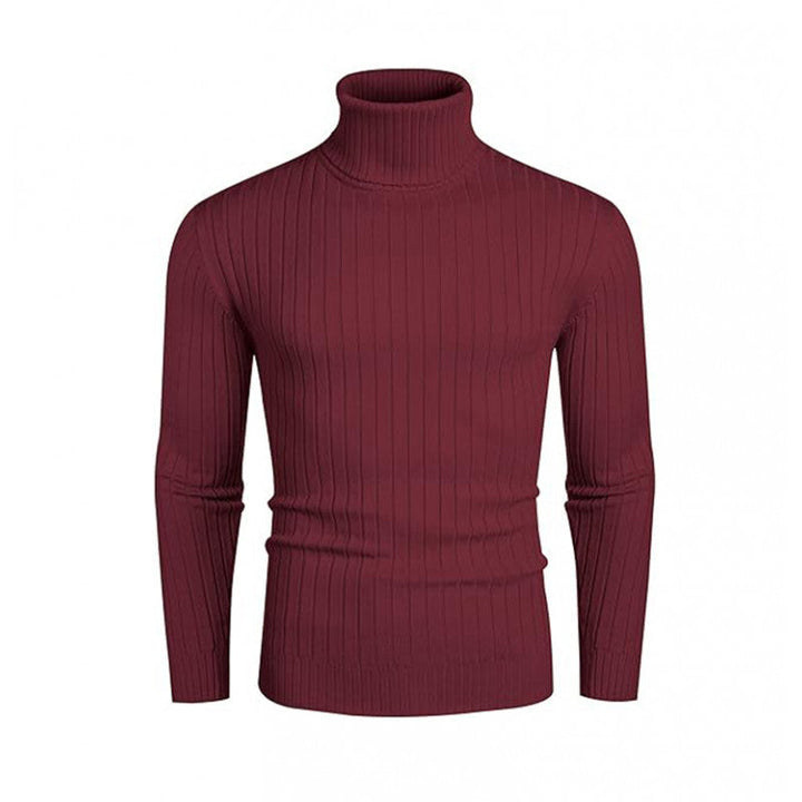Herren Pullover Rollkragen Strick Design