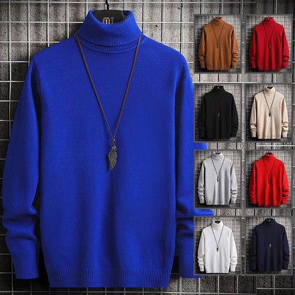 Herren Rollkragenpullover Modern Weich