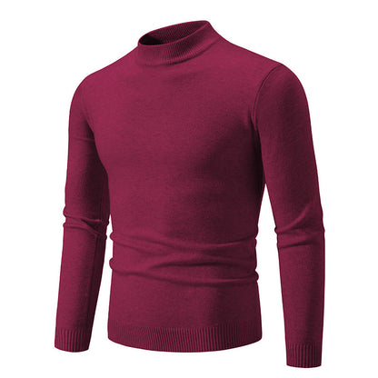 Herren Pullover Fein Strick Hochkragen Elegant