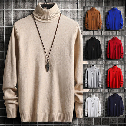 Herren Rollkragenpullover Modern Weich
