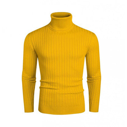 Herren Pullover Rollkragen Strick Design
