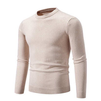Feiner Herren Pullover Rundhals Elegantes Design