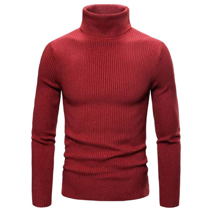 Herren Rollkragenpullover Hochwertig Komfortabel