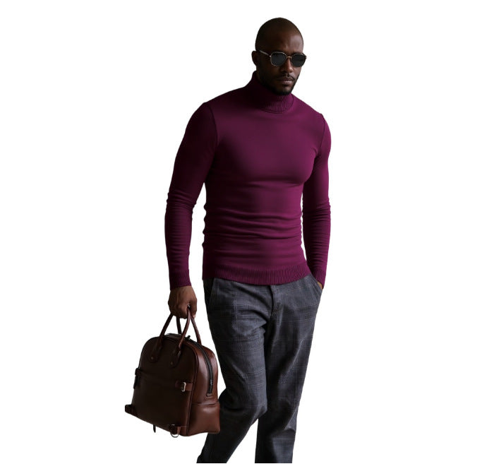 Herren Rollkragen Pullover Fein Strukturiert Elegantes Design