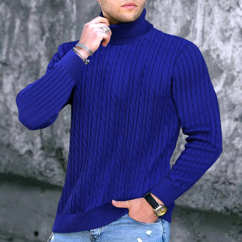 Herren Rollkragenpullover Modern Strukturiert
