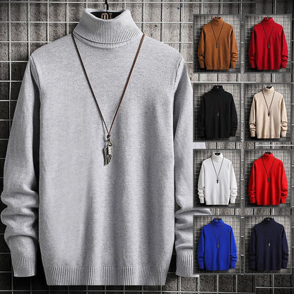 Herren Rollkragenpullover Modern Weich