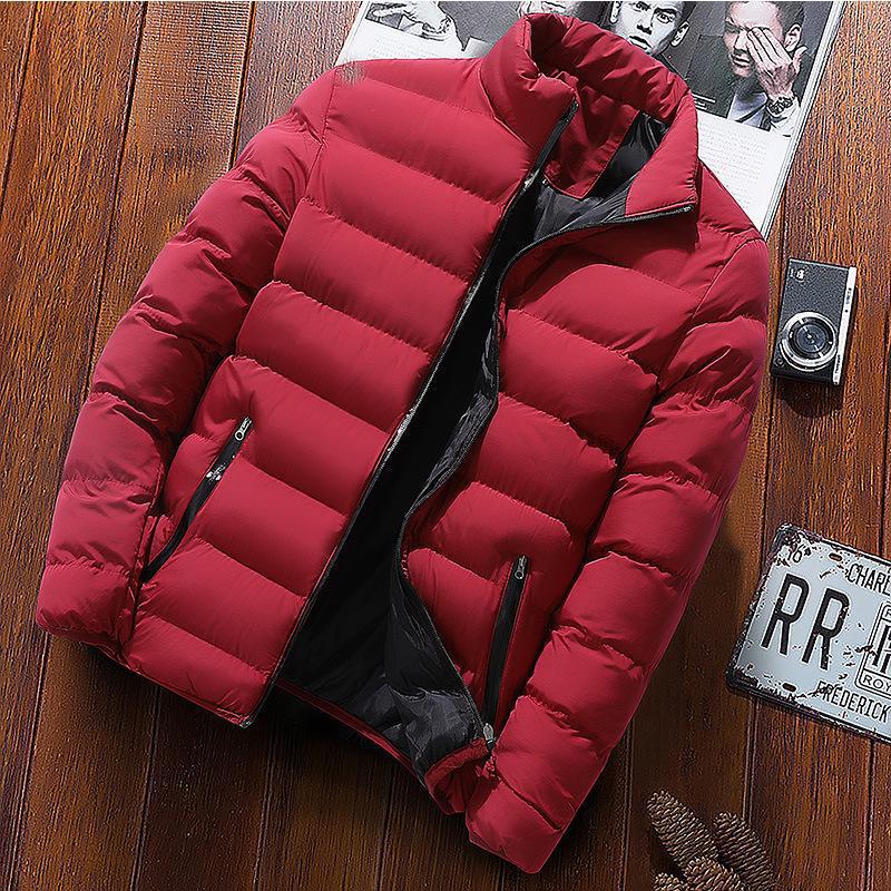Winterjacke Herren Isoliert Warm - IdealeKleiden
