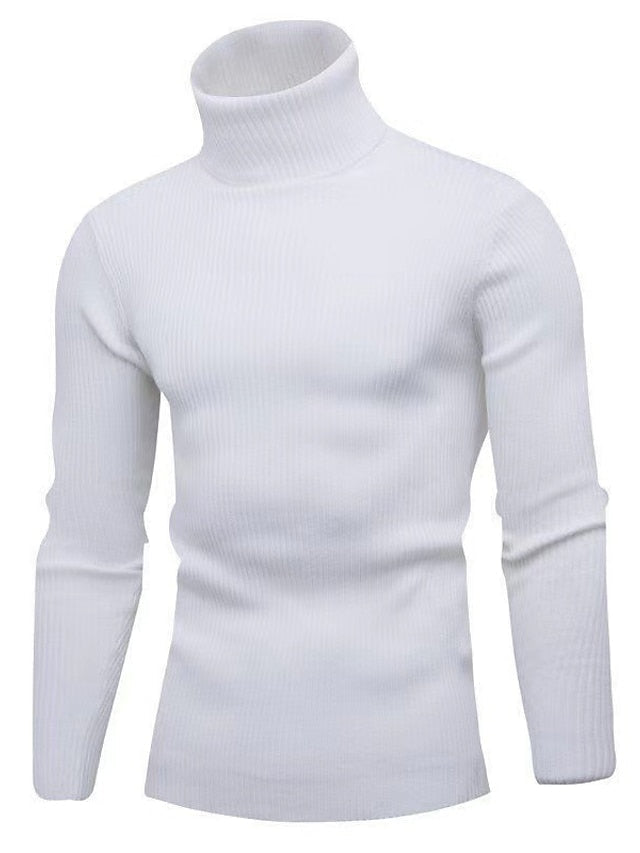 Herren Wollpullover Elegant Tom Polo