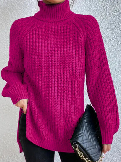 Weicher Frauen Rollkragen Pullover Modern