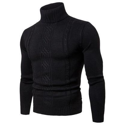 Herren Rollkragenpullover Modern Styles