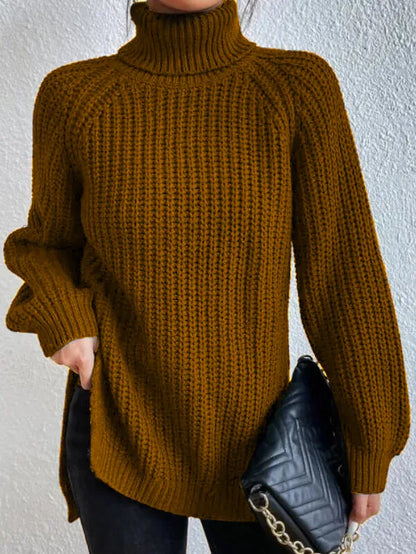Weicher Frauen Rollkragen Pullover Modern
