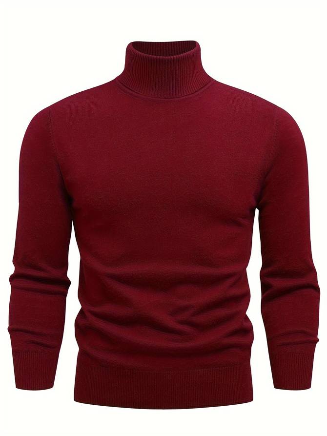 Herren Rollkragenpullover Modern Vielseitig