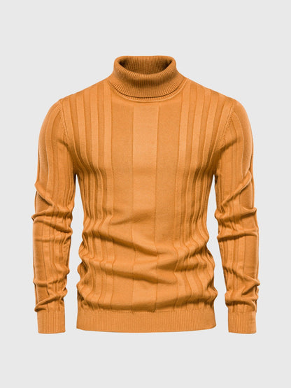 Gestreifter Rollkragen Pullover Herren