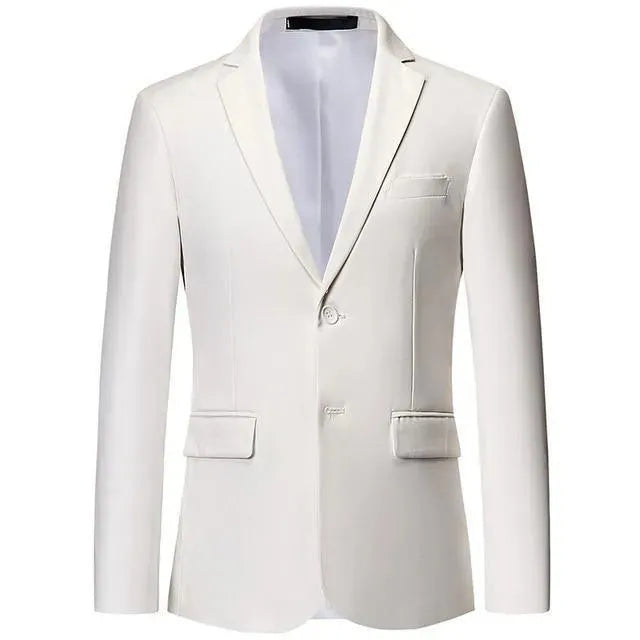 Eleganter Herren Blazer 2-Knopf Hochzeitsanzug
